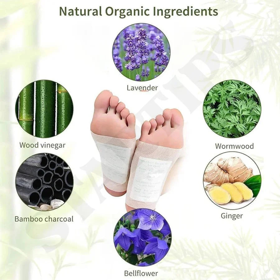 ⚡ Detox While You Sleep 🌿 - 🌙 ديتوكس أثناء النوم | لاصقات القدم العلاجية للاسترخاء وتجديد الجسم بالكامل